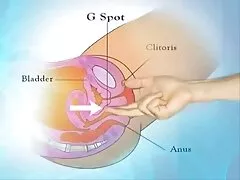 vicini film porno anali italiani lussureggiante fantasia aperta adolescenti corpo nudo