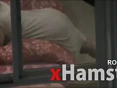 Max video porno gratis anali scopata bruna con tatuaggio